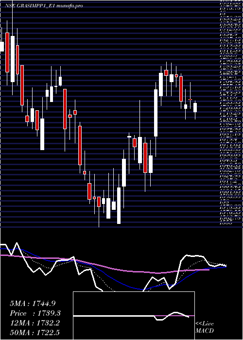  Daily chart GrasimRe