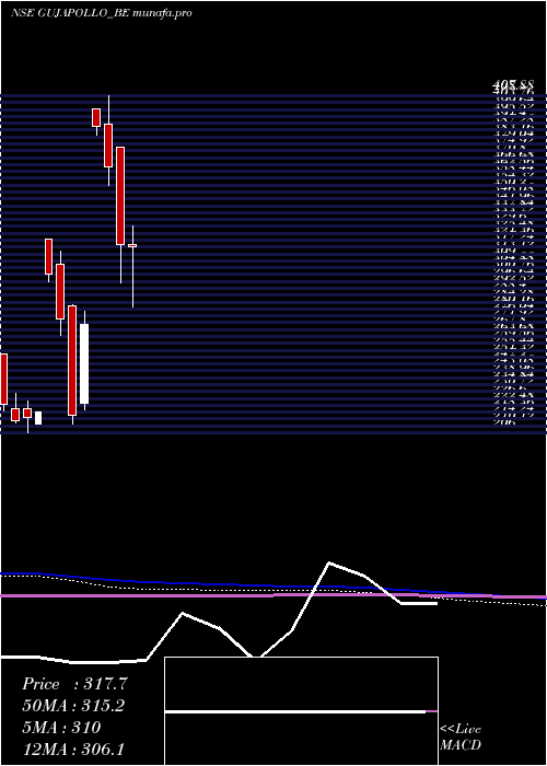  monthly chart GujApollo