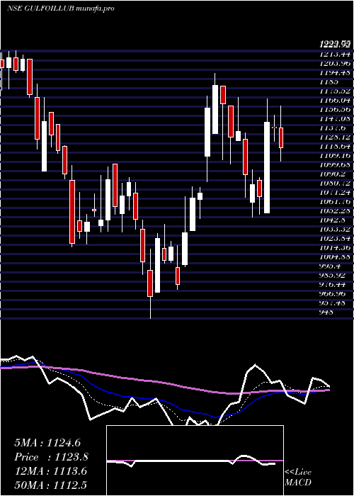  Daily chart GulfOil