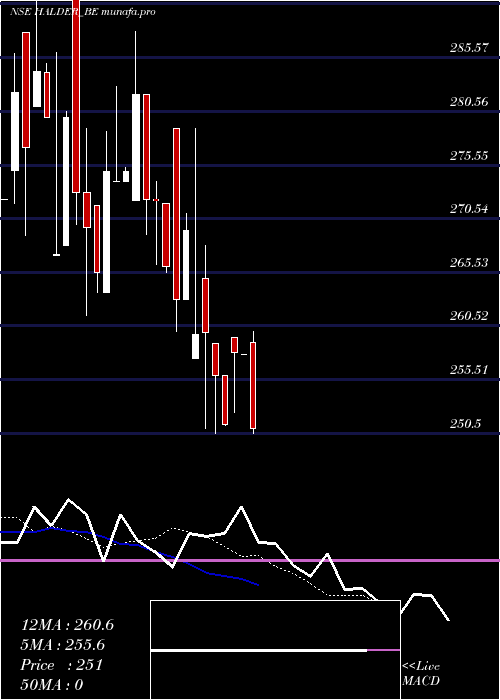  Daily chart HalderVenture