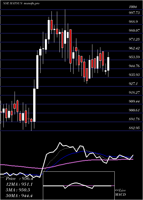  Daily chart HatsunAgro