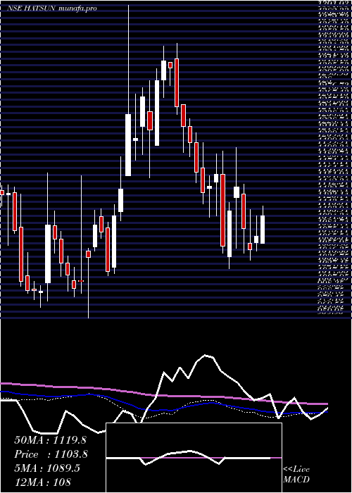  weekly chart HatsunAgro