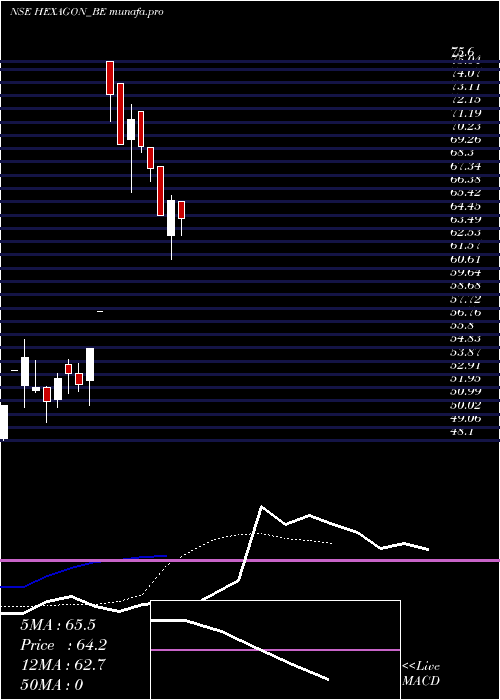  Daily chart HexagonNutrition