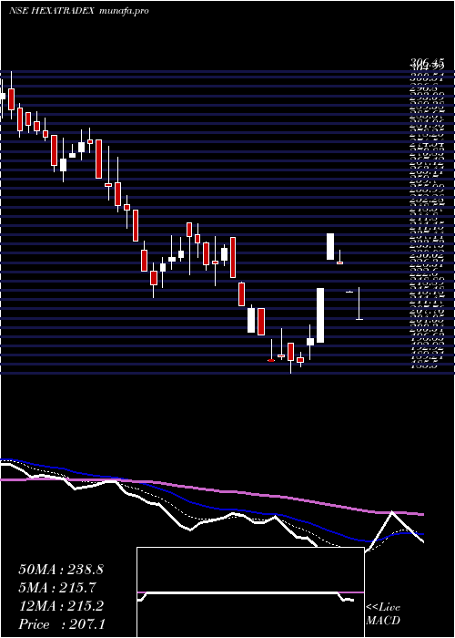  Daily chart HexaTradex