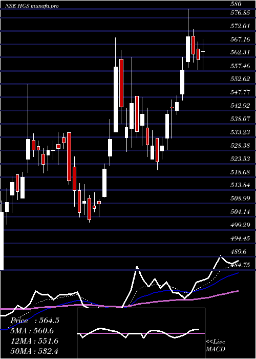 Daily chart HindujaGlobal