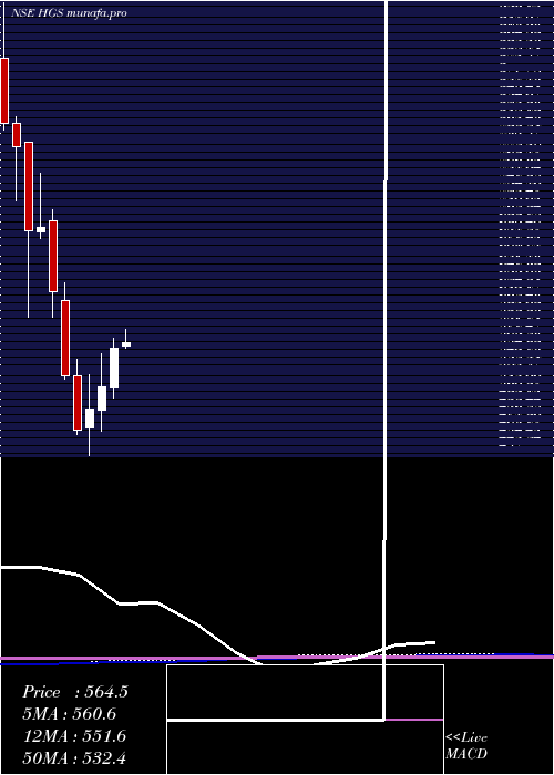 monthly chart HindujaGlobal