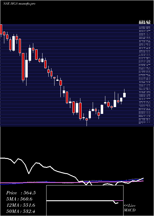 weekly chart HindujaGlobal