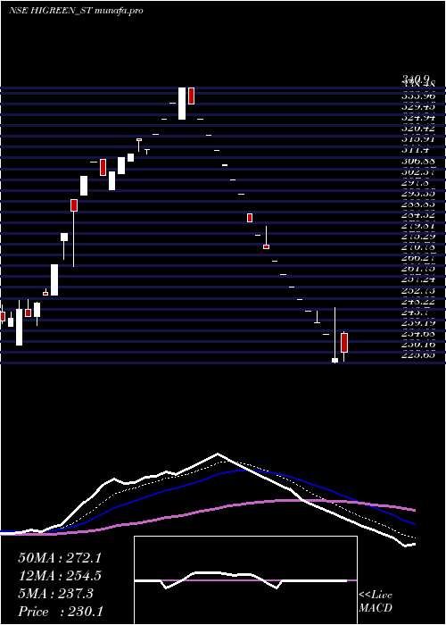  Daily chart HiGreen