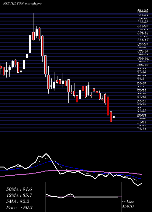  Daily chart HiltonMetal