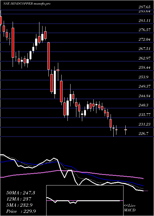  Daily chart HindustanCopper