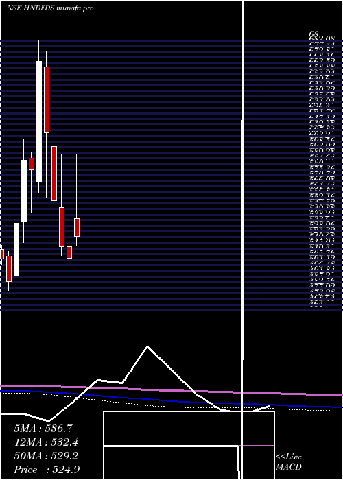  monthly chart HindustanFoods