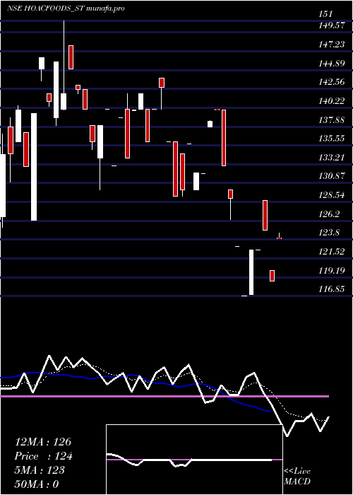  Daily chart HoacFoods