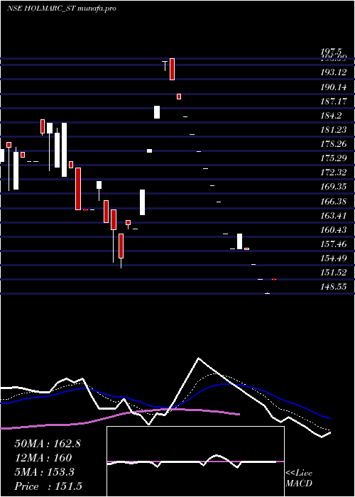  Daily chart HolmarcOpto