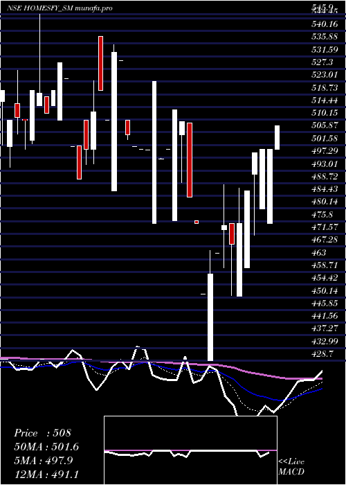  Daily chart HomesfyRealty