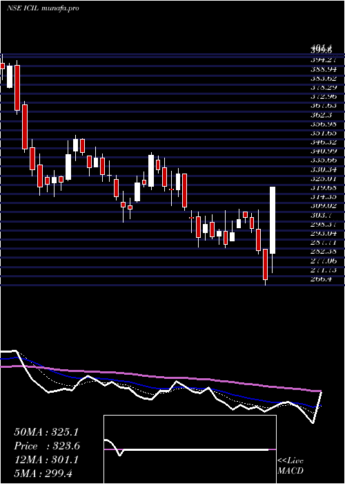  Daily chart IndoCount