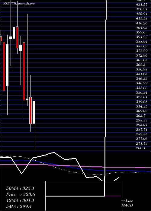  monthly chart IndoCount