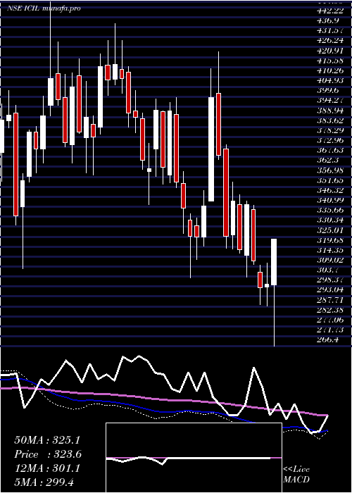  weekly chart IndoCount