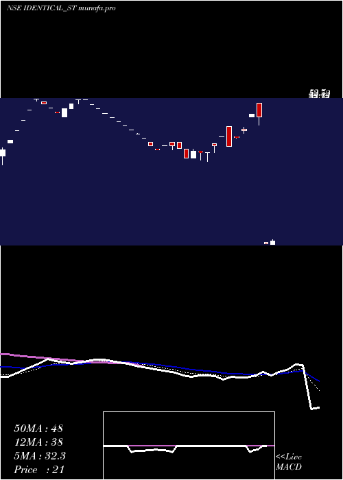 Daily chart IdenticalBrains