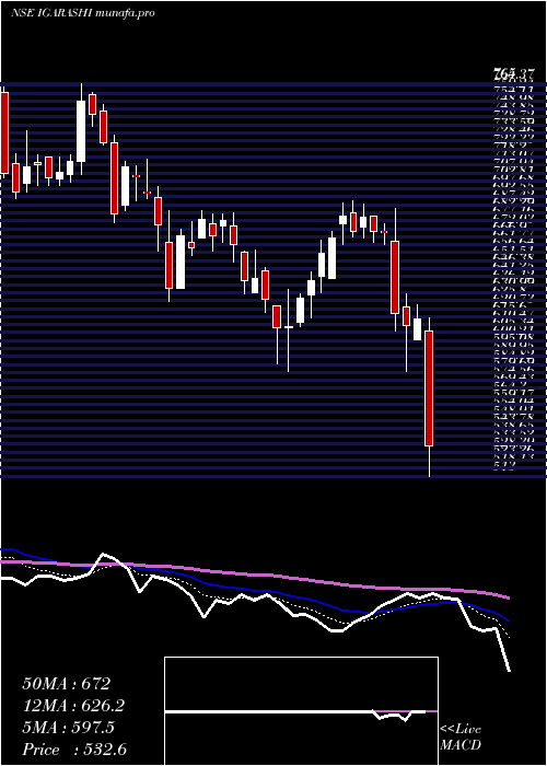  Daily chart IgarashiMotors