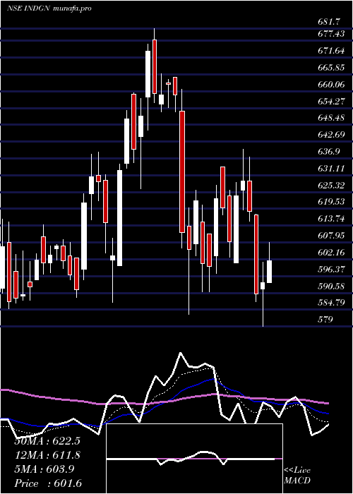  Daily chart Indegene