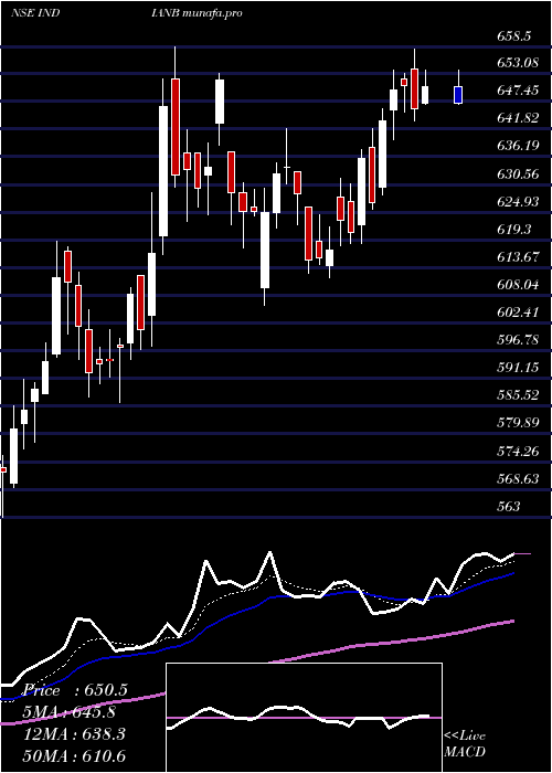  Daily chart IndianBank