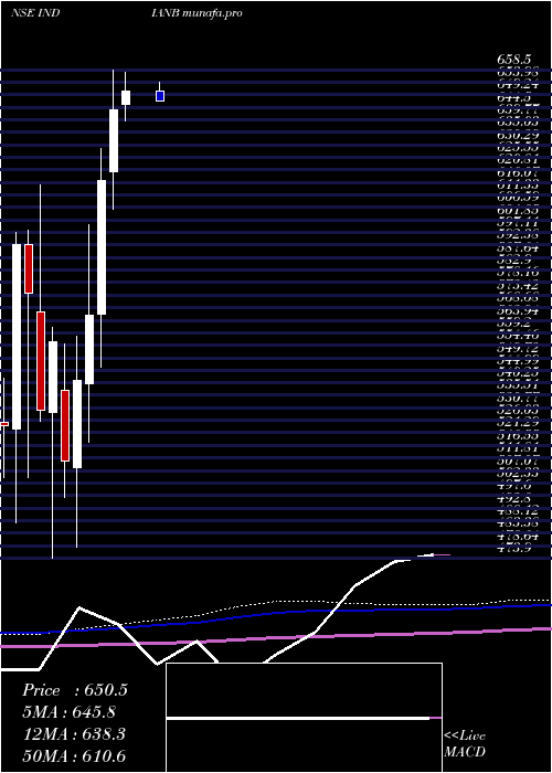  monthly chart IndianBank