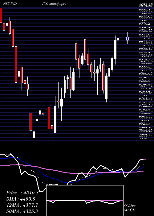  Daily chart InterglobeAviatio