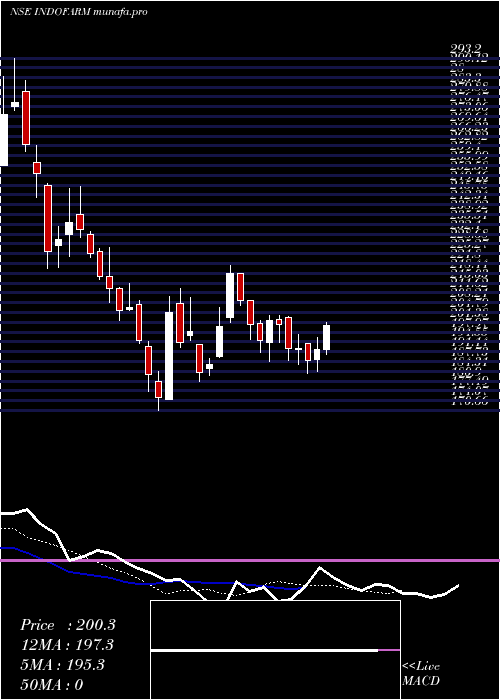  Daily chart IndoFarm