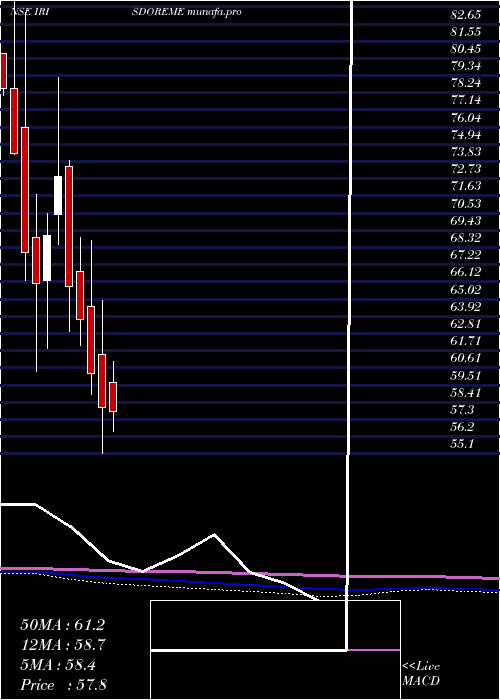  monthly chart IrisClothings