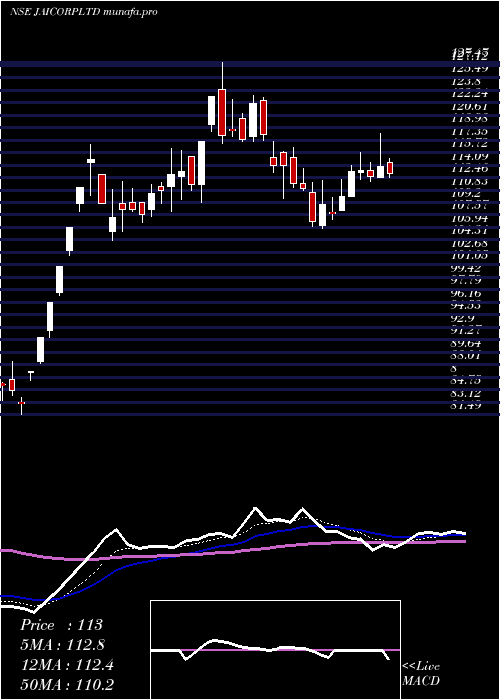 Daily chart JaiCorp