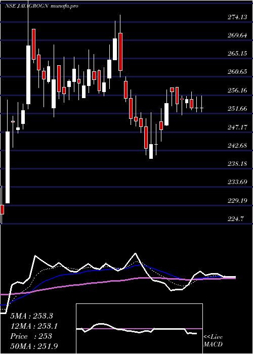 Daily chart JayantAgro