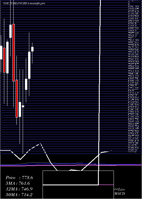  monthly chart JubilantIngrevia