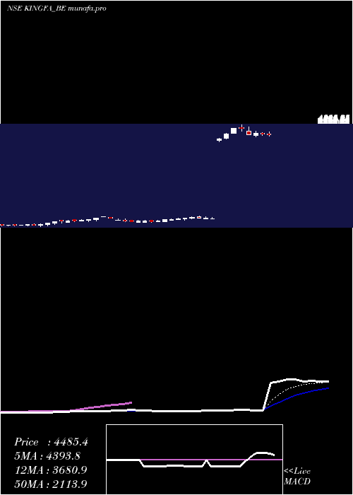  Daily chart KingfaSci