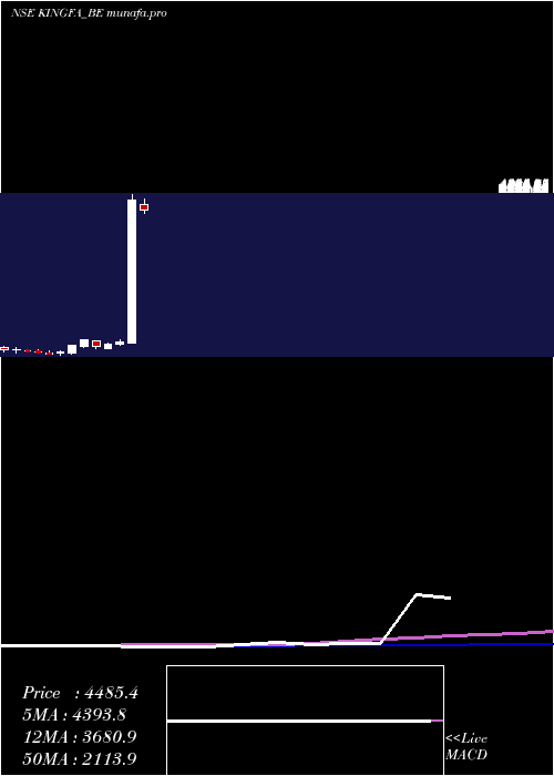  weekly chart KingfaSci