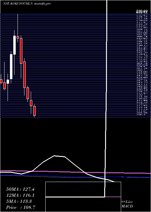  monthly chart KokuyoCamlin