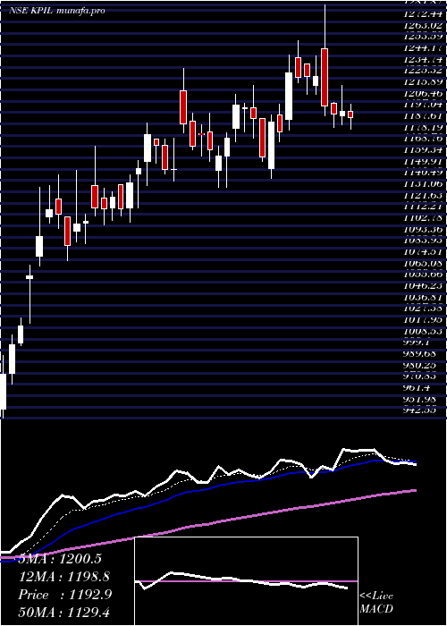 Daily chart KalpataruProject