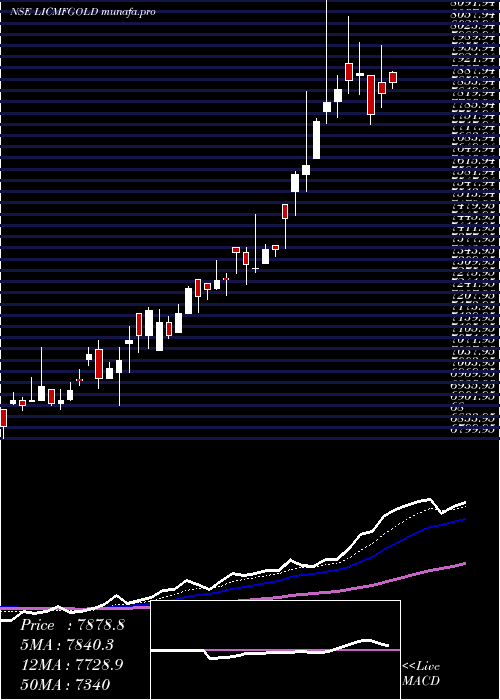  Daily chart LicMf