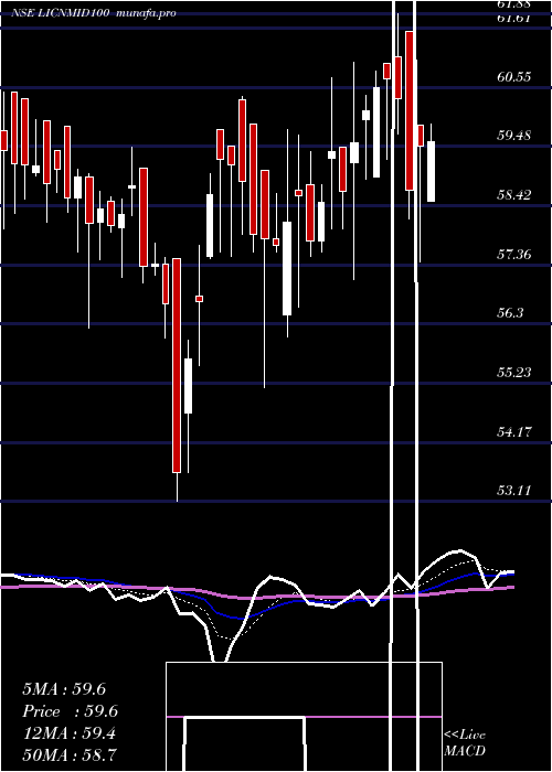  Daily chart LicnamcLicnmid100