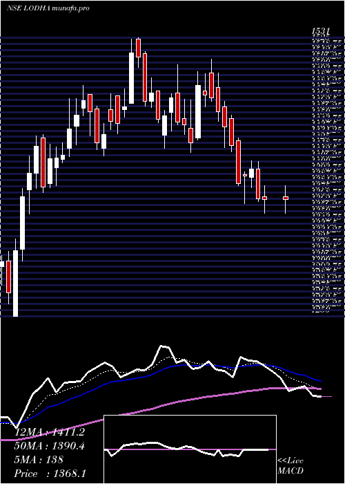  Daily chart MacrotechDevelopers