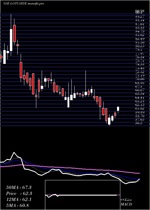  Daily chart LotusEye