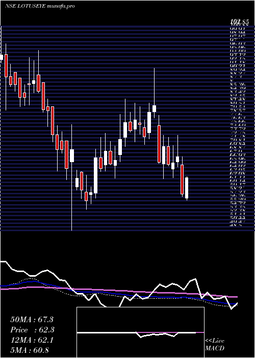  weekly chart LotusEye