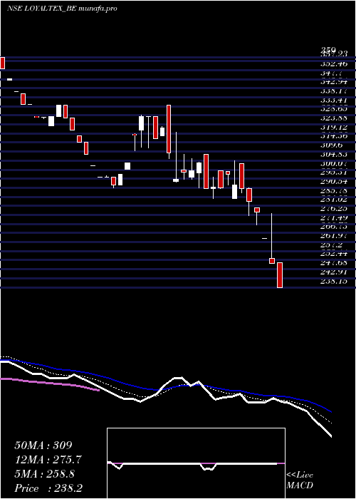  Daily chart LoyalTextile