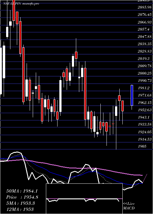  Daily chart Lupin