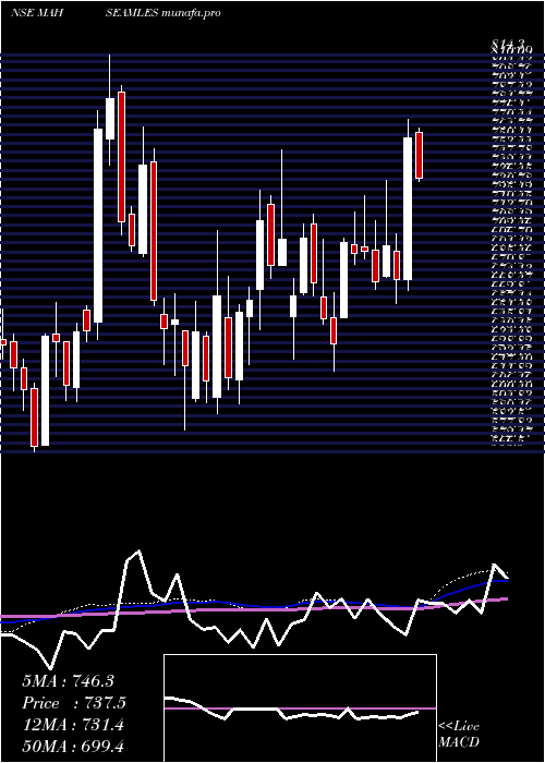  weekly chart MaharashtraSeamless