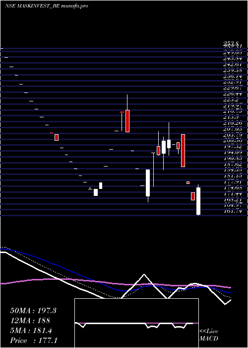  Daily chart MaskInvestments