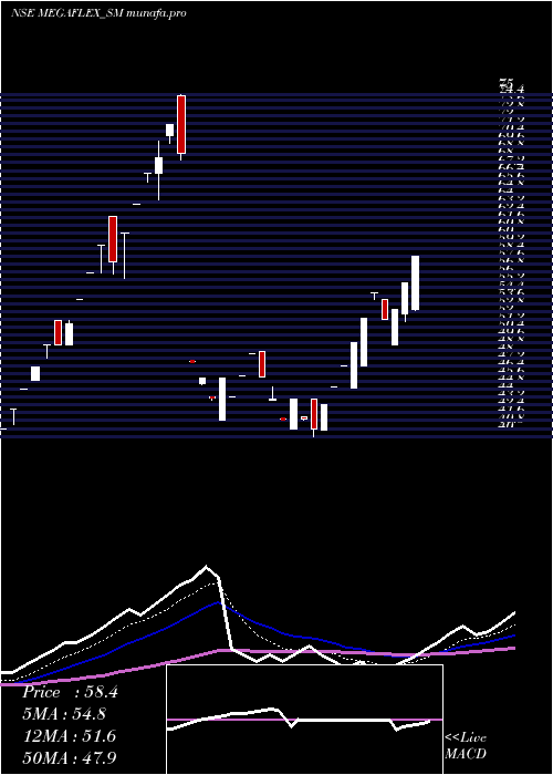  Daily chart MegaFlex