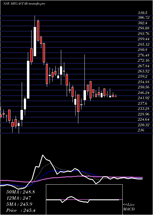  Daily chart MegastarFoods