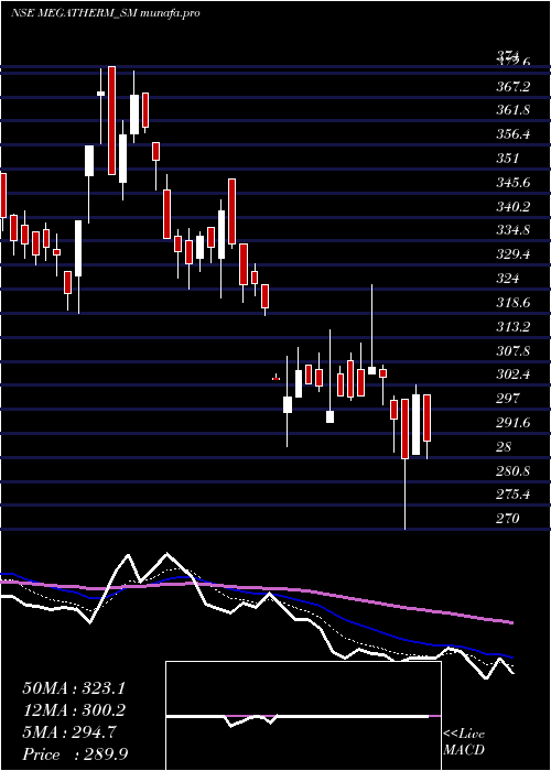  Daily chart MegathermInduction