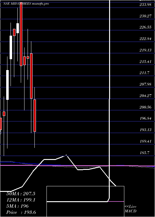  monthly chart NipInd