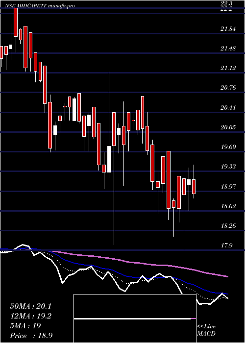  Daily chart MiraeamcMam150etf